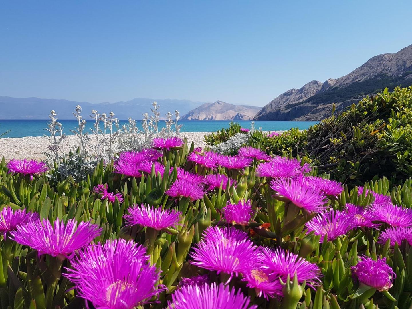 Apartments Teljega Baška Kültér fotó